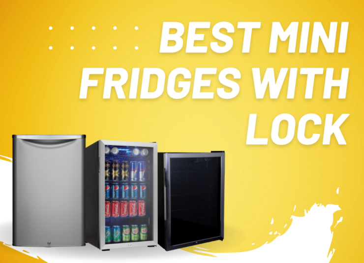 Best Mini Fridge with Built in Lock